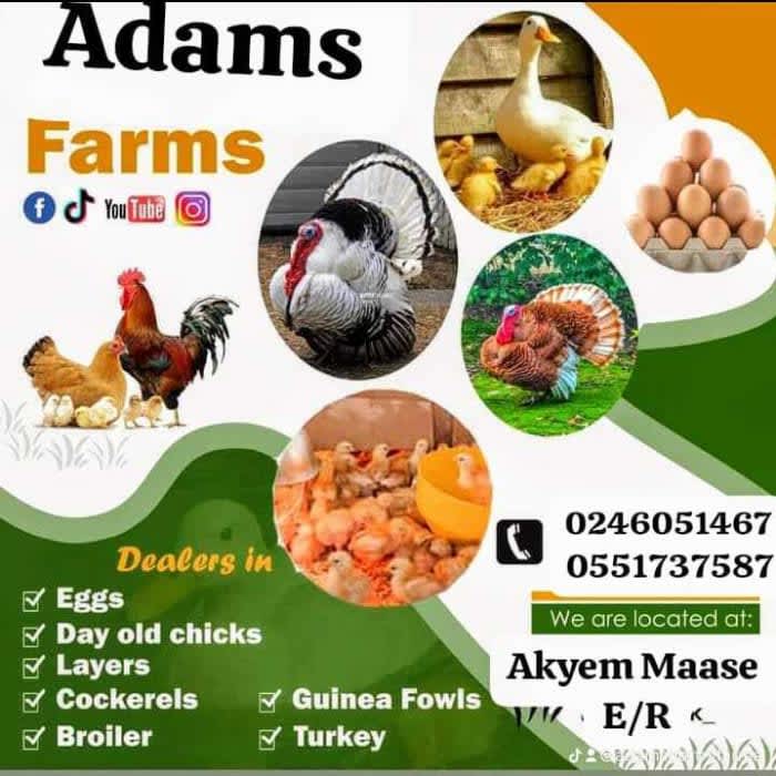 ADAMS NAFAH  TAHIRU's profile picture