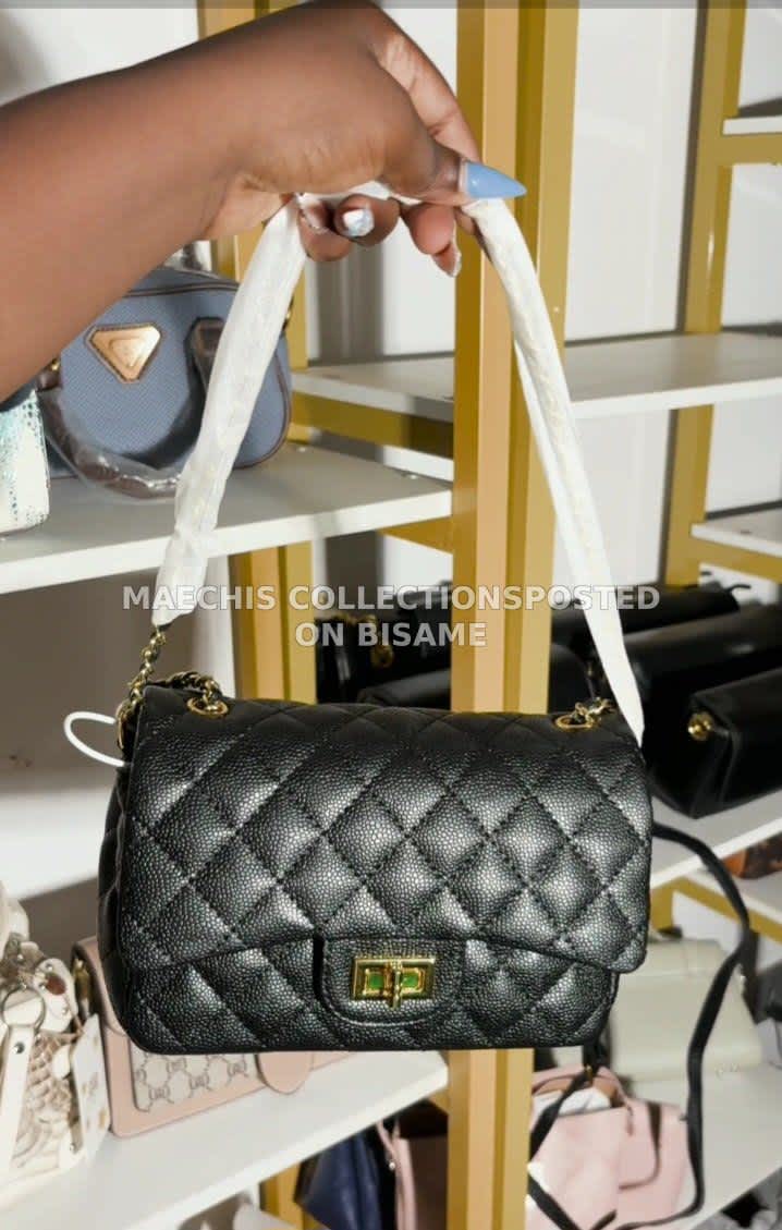Ladies Handbag 