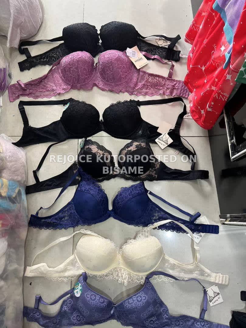 Ladies Push-up and Padded Bras - Wholesale 