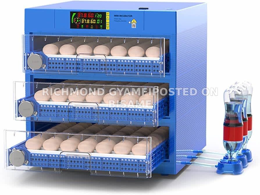 Automatic Egg Incubator