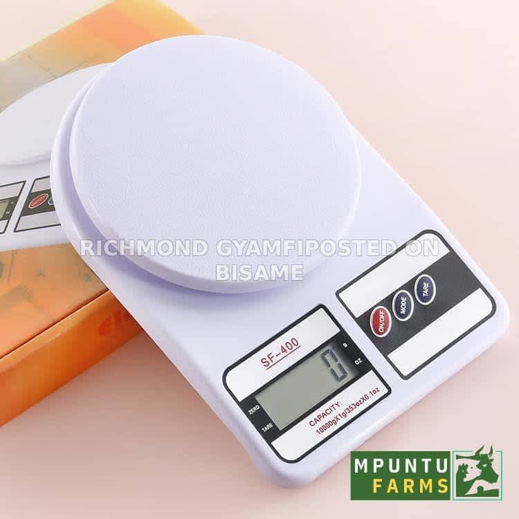 Digital scale