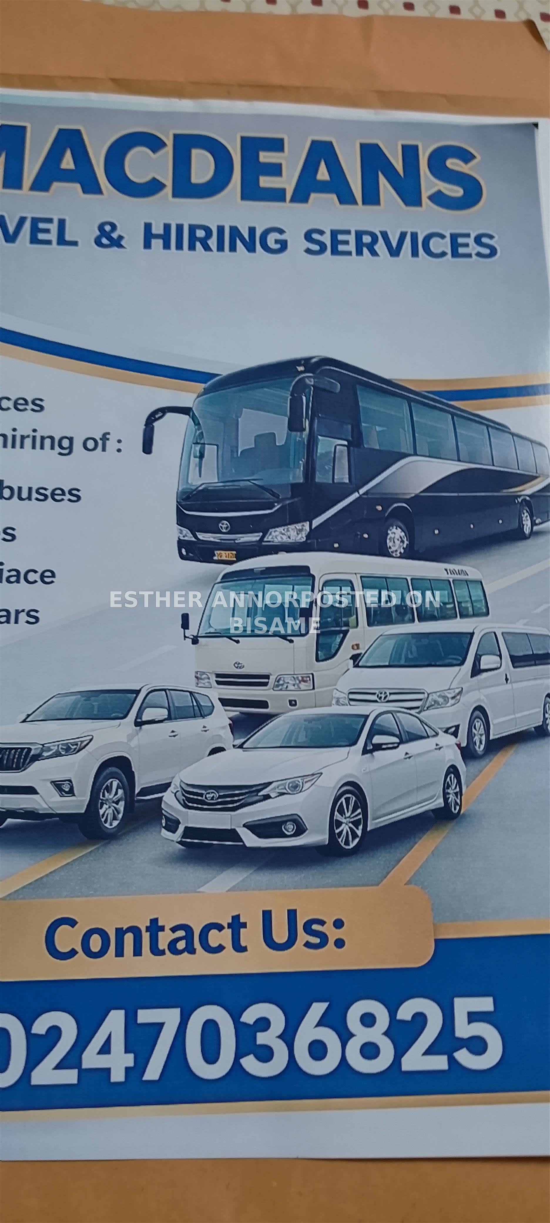 Car Rentals 