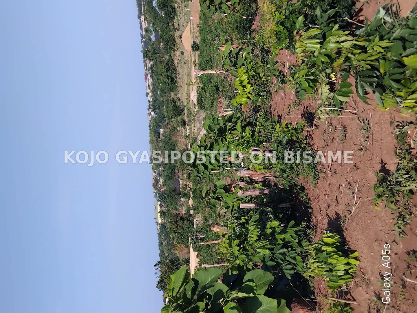 PLOT FOR SALE AT SUNYANI AGENDA 111 DUMESUA