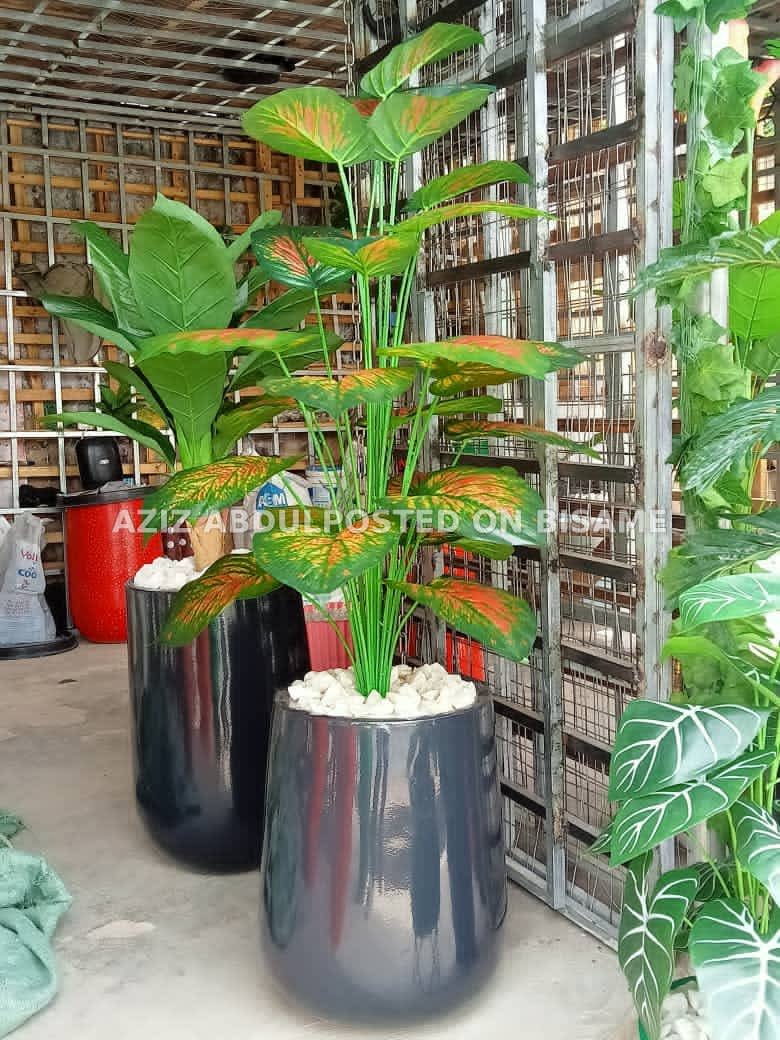 garden supplies, flowers 