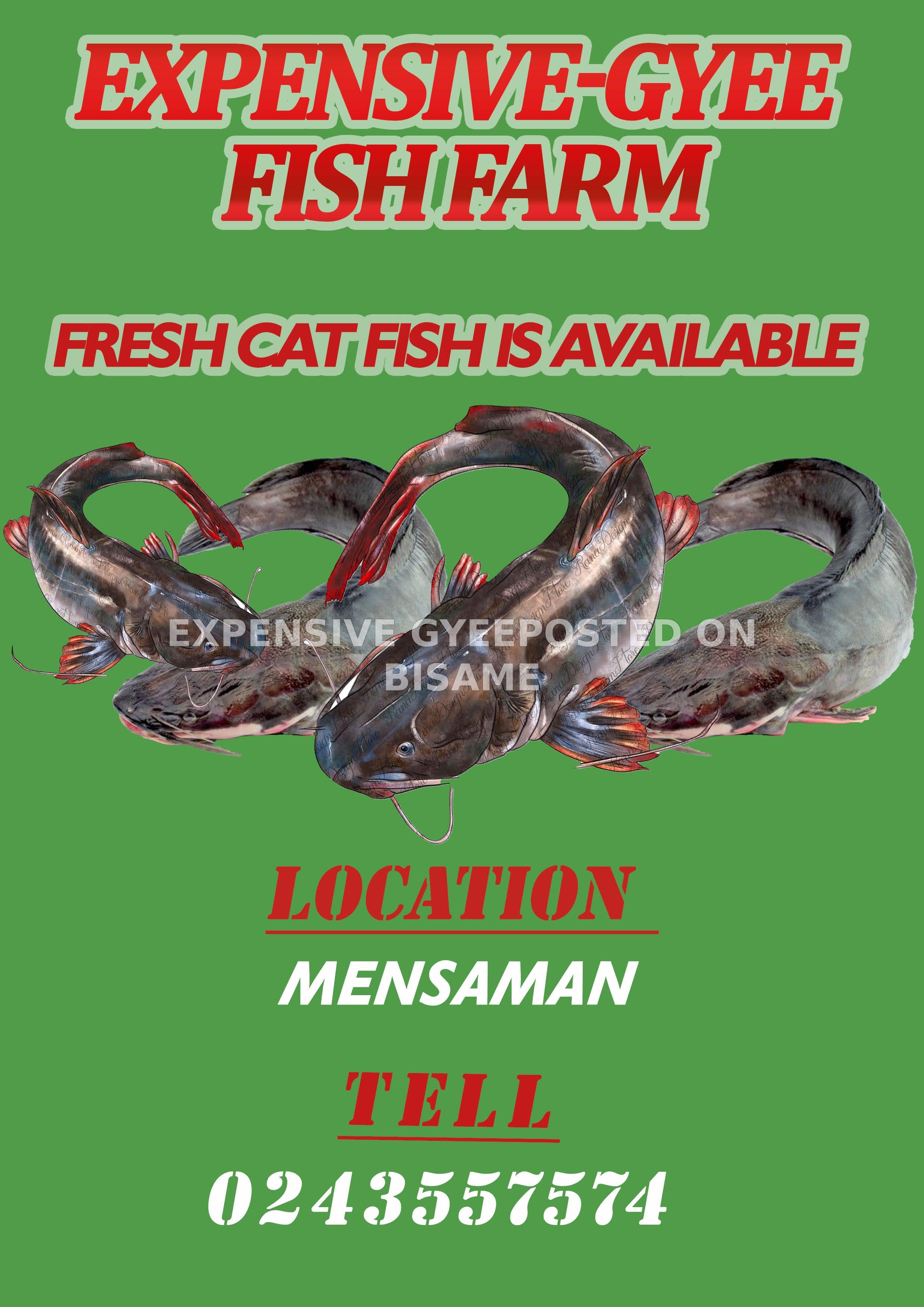 CATFISH