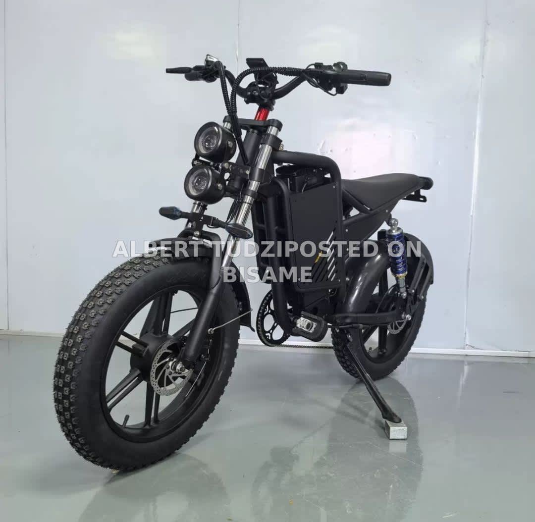 Electric Bikes - 48v