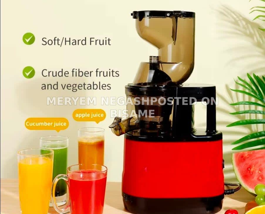 Slow Juicer 