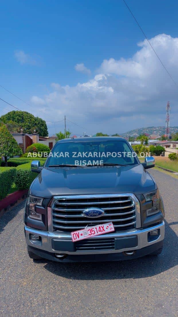 Ford F-150 Pickup Truck, 2015, Foreign Used, Gray 