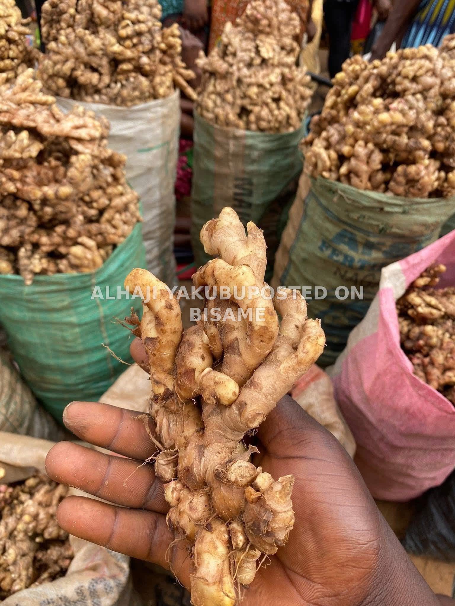 Ginger for sale