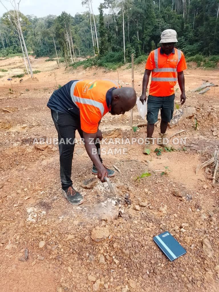 Gold mining concession (Partnership)
