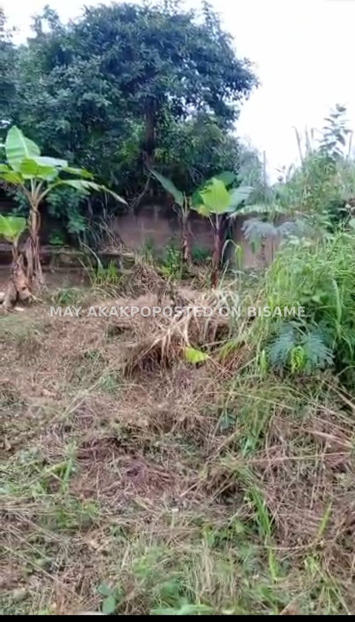 4 Plots of Land - Adjen Kotoku, near Rush energy drink company