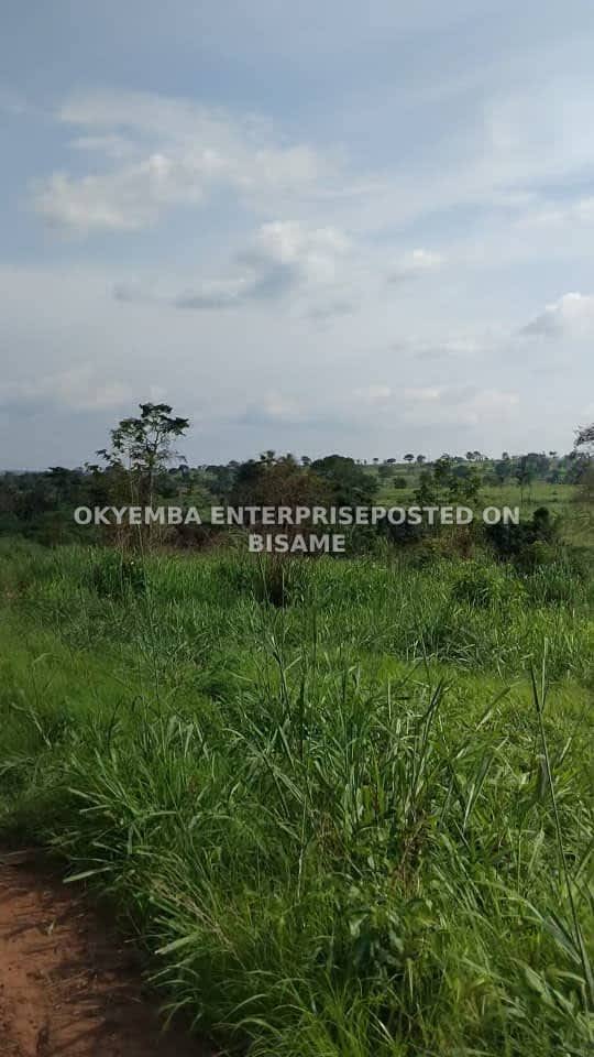 Farm land for sell at an affordable price