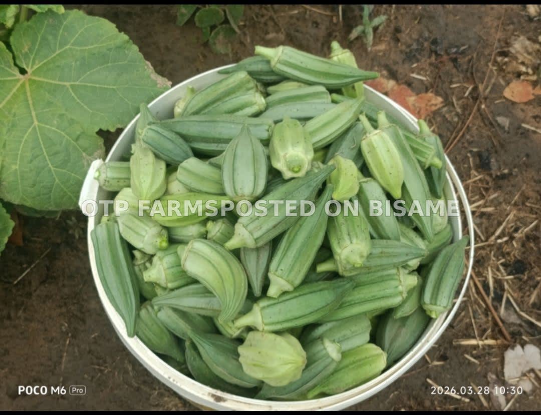 Okra/Okro