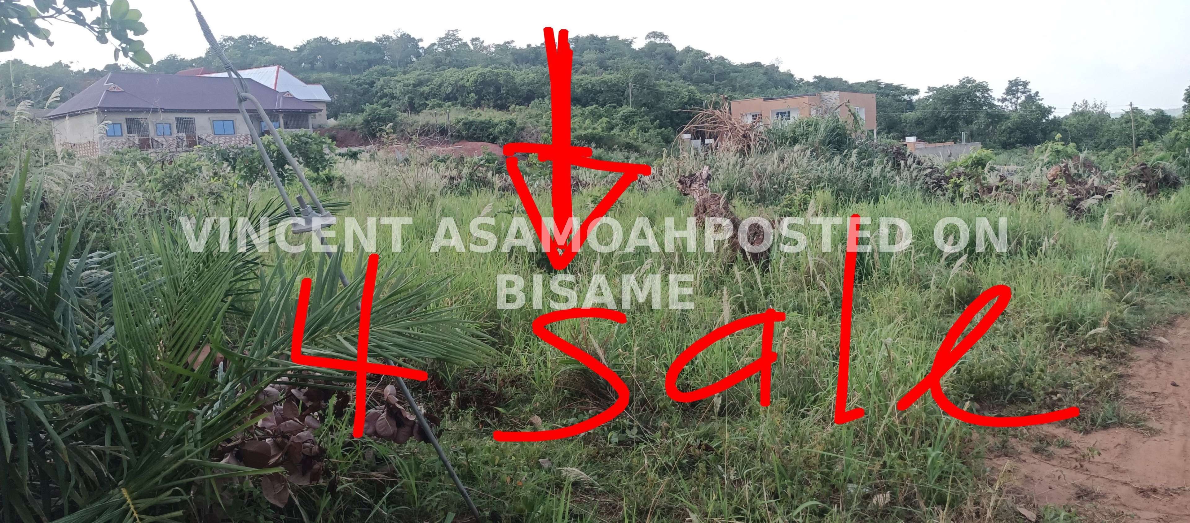 plot for sale at Bamiri