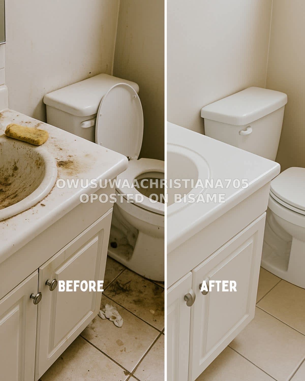 The Gold Standard in Professional Cleaning