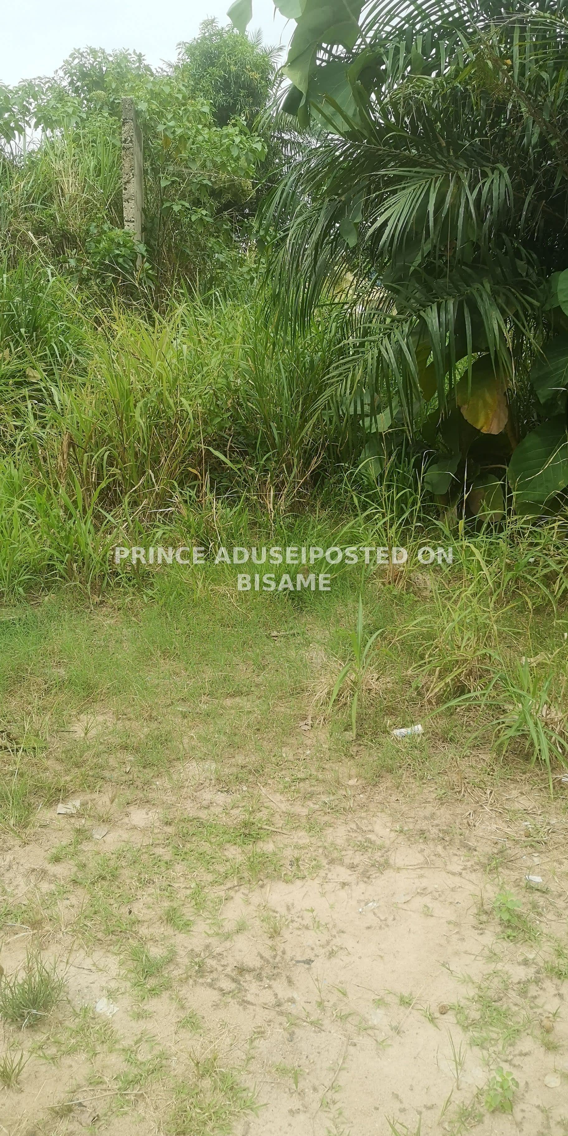 Land for Sale @ Tanoso Kumasi around University Campus