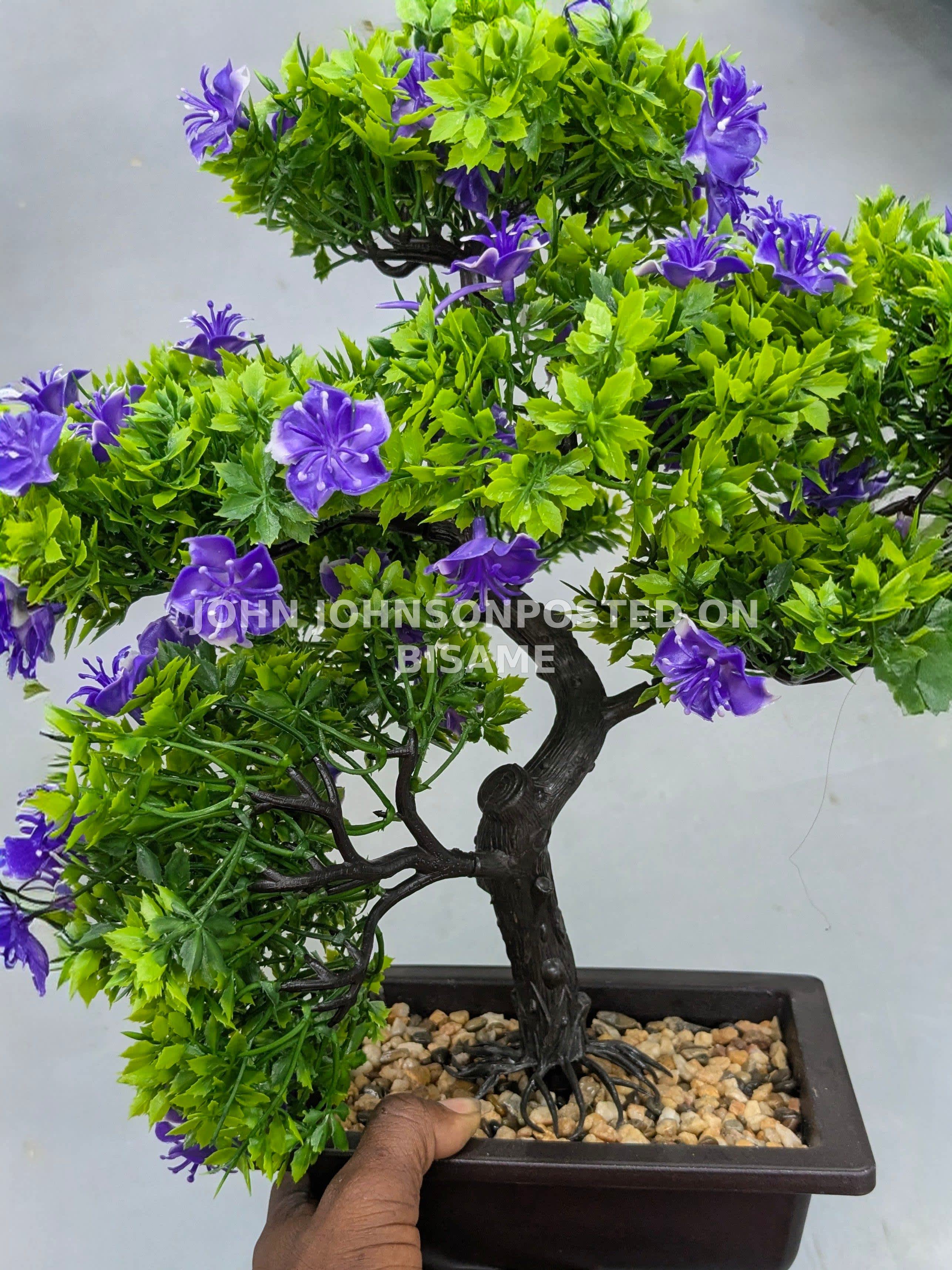 Assured home and flowers decorations