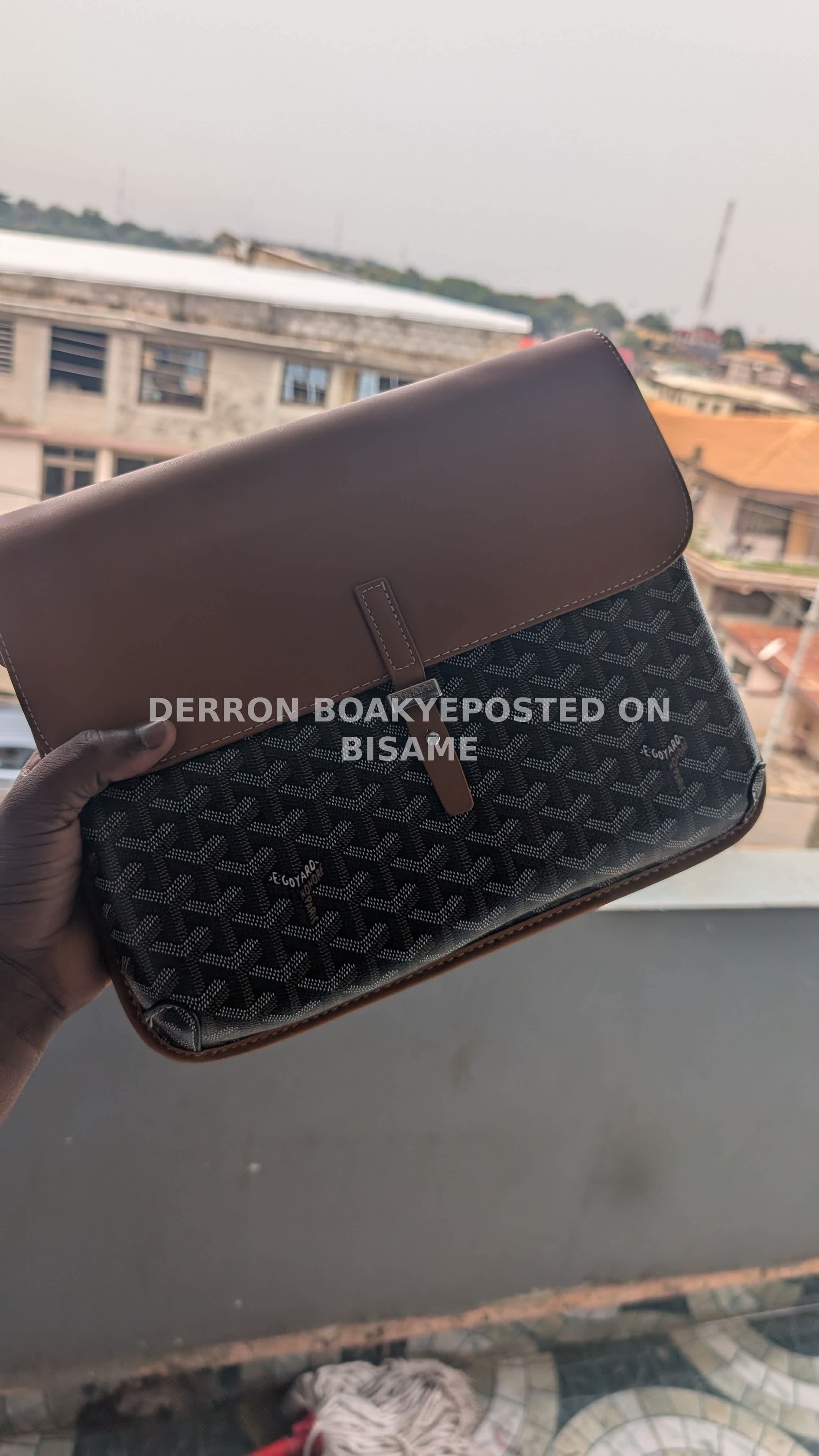 goyard sidebag