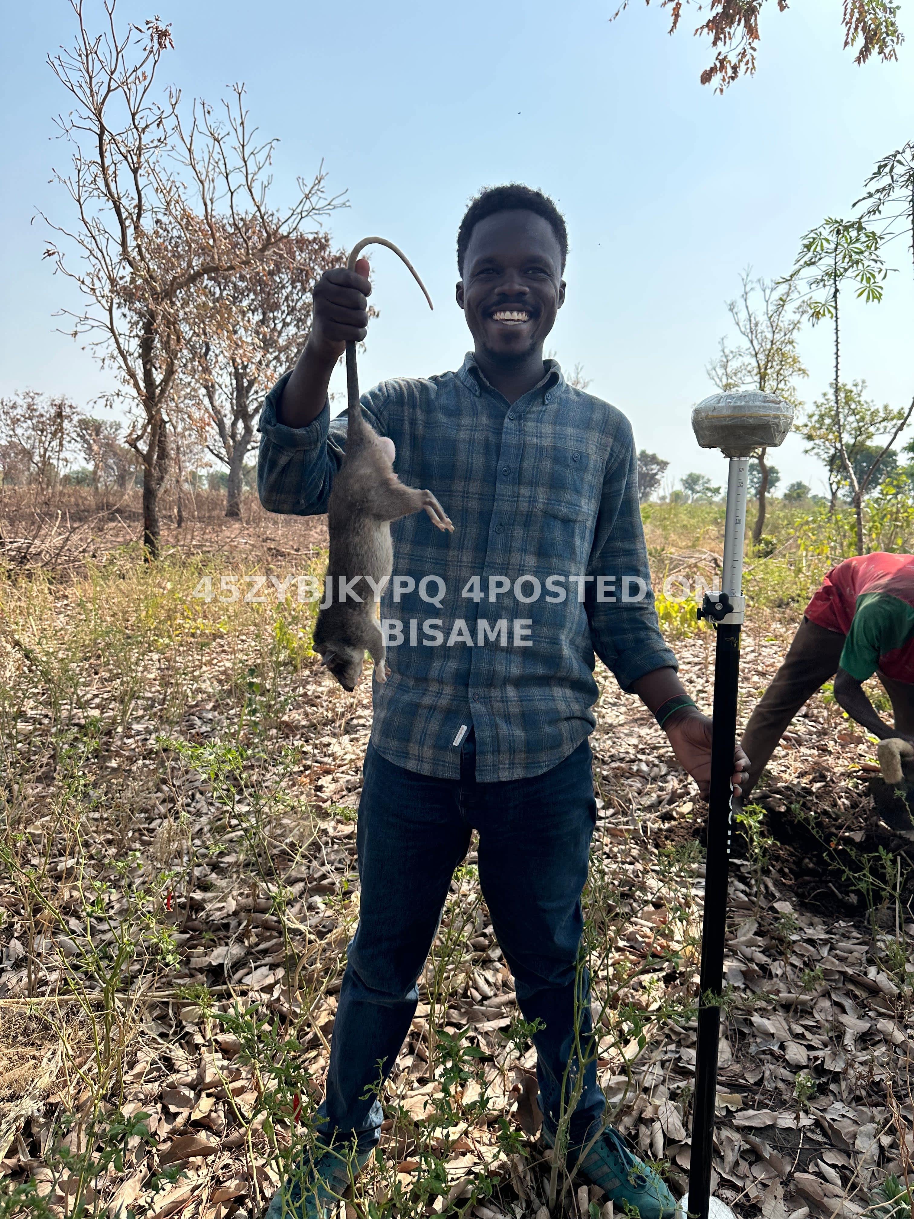 Land Surveyor