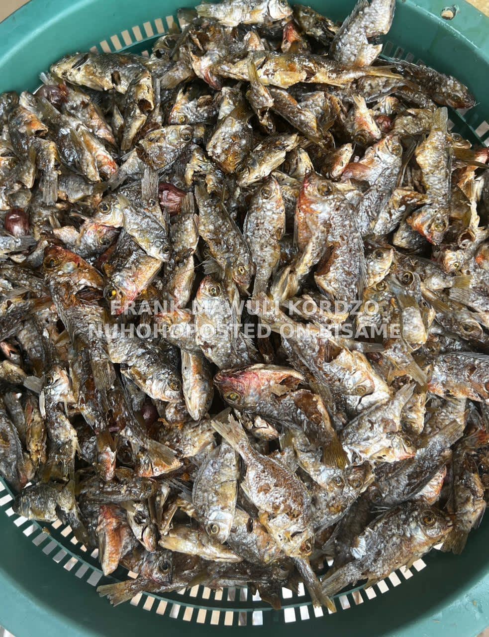 Fried Fish from Volta
