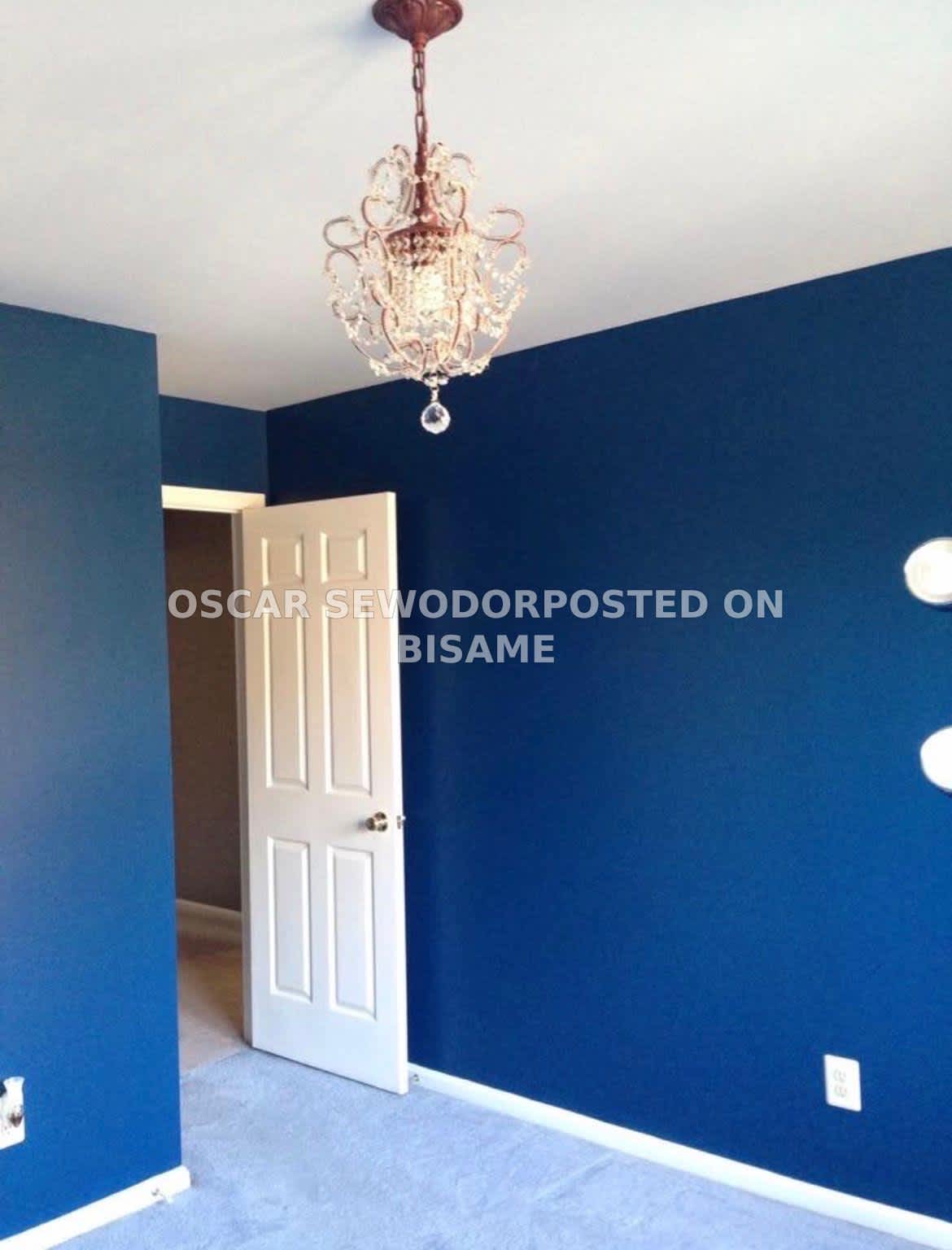  Professional Painter