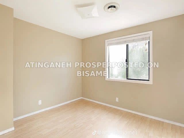 Prosper Y Painting Services 