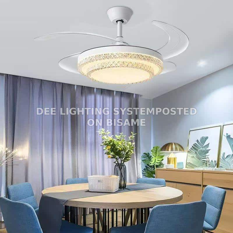 LED Light Fan