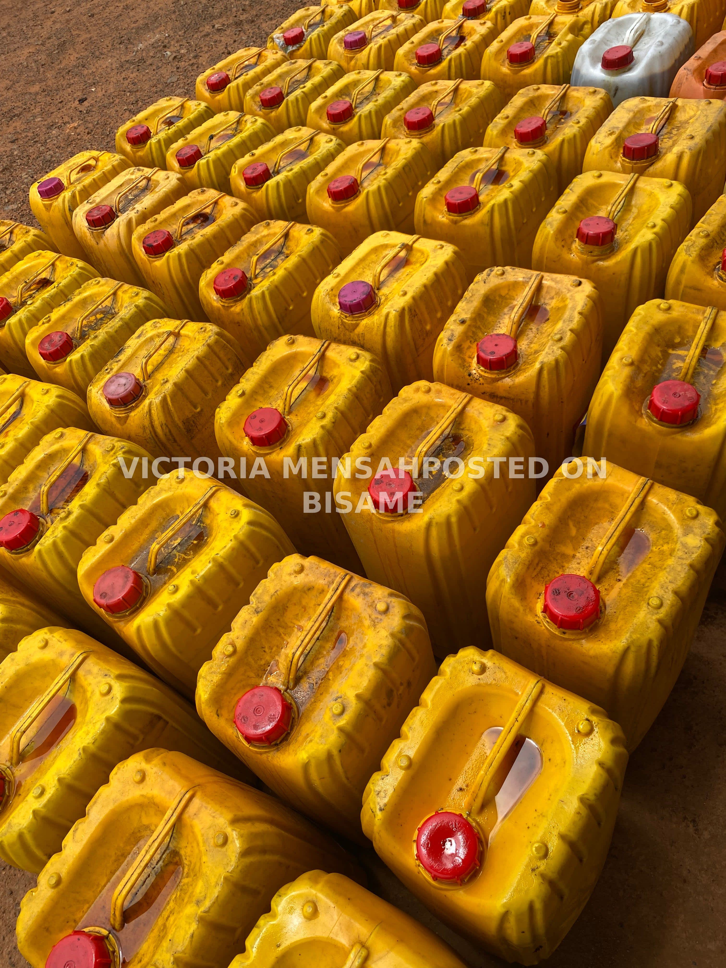 Palm Oil (25 Liters)