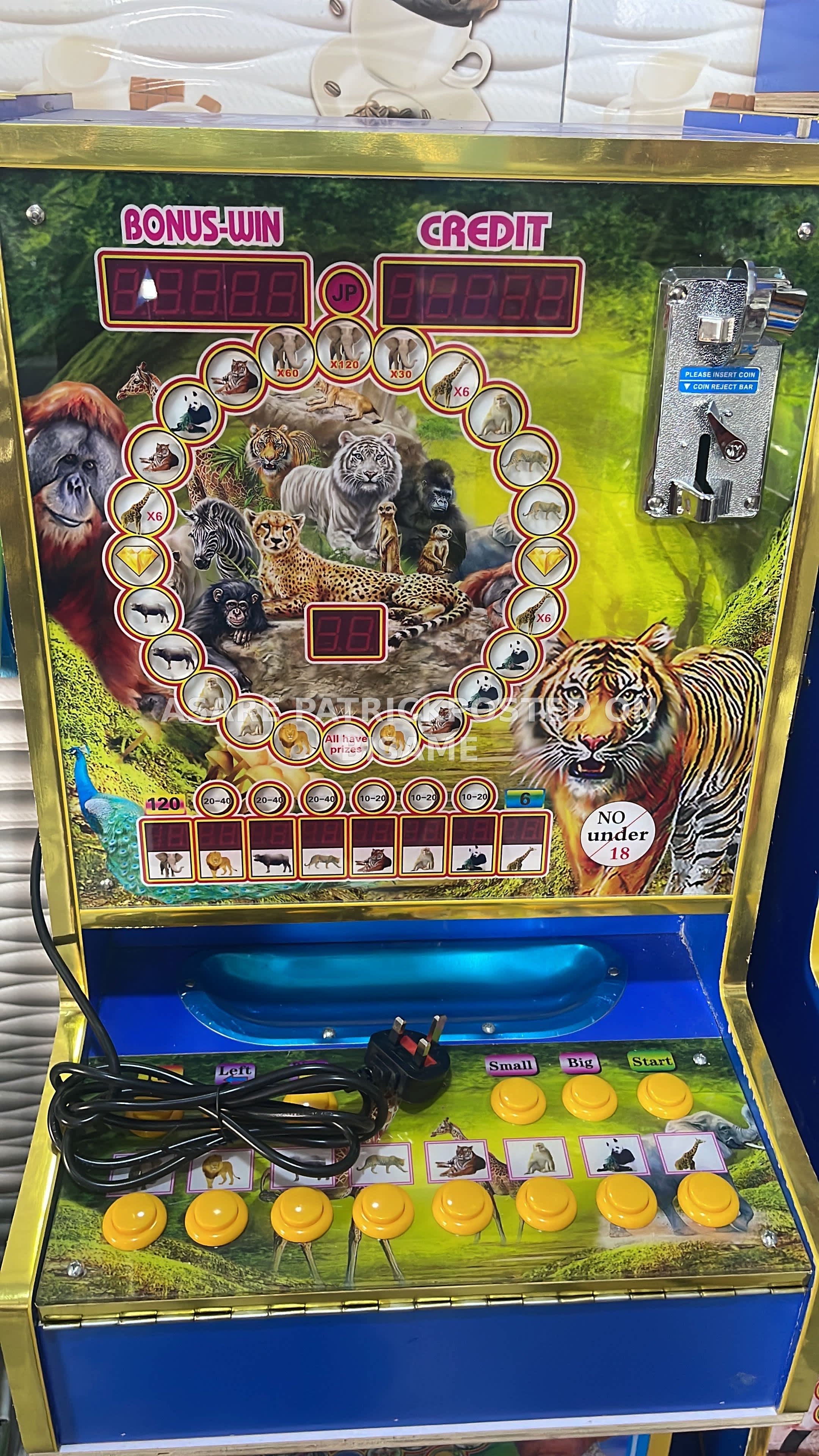 Brand new jackpot machine