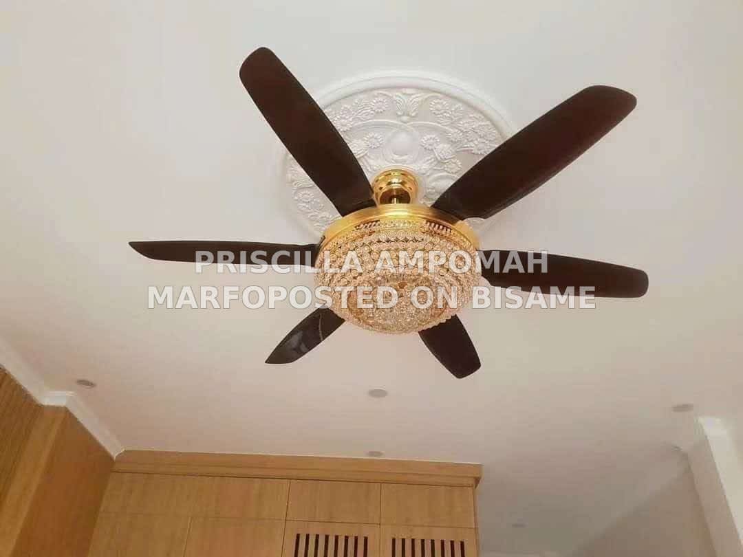 Chandelier light with Fan