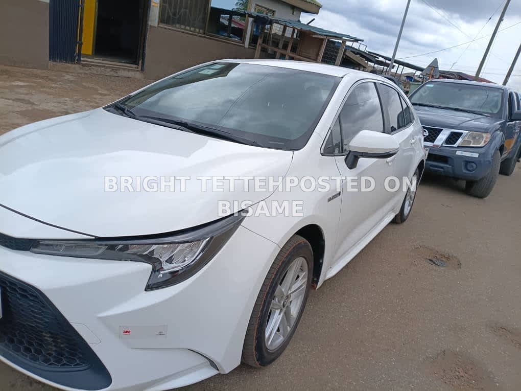 Car Rentals and Hiring Services