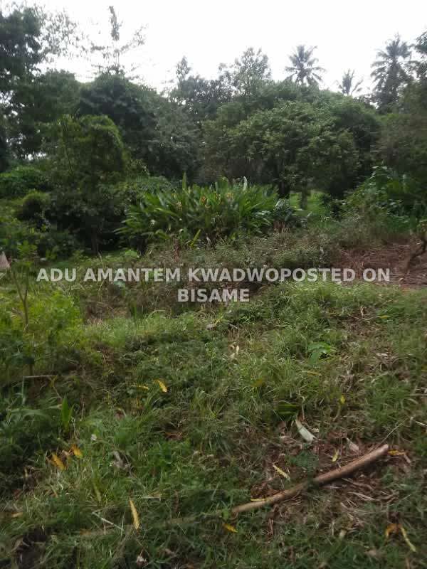 FULL PLOT OF LAND FOR SALE AT APAGYA, KUMASI OFF OFFINSO ROAD