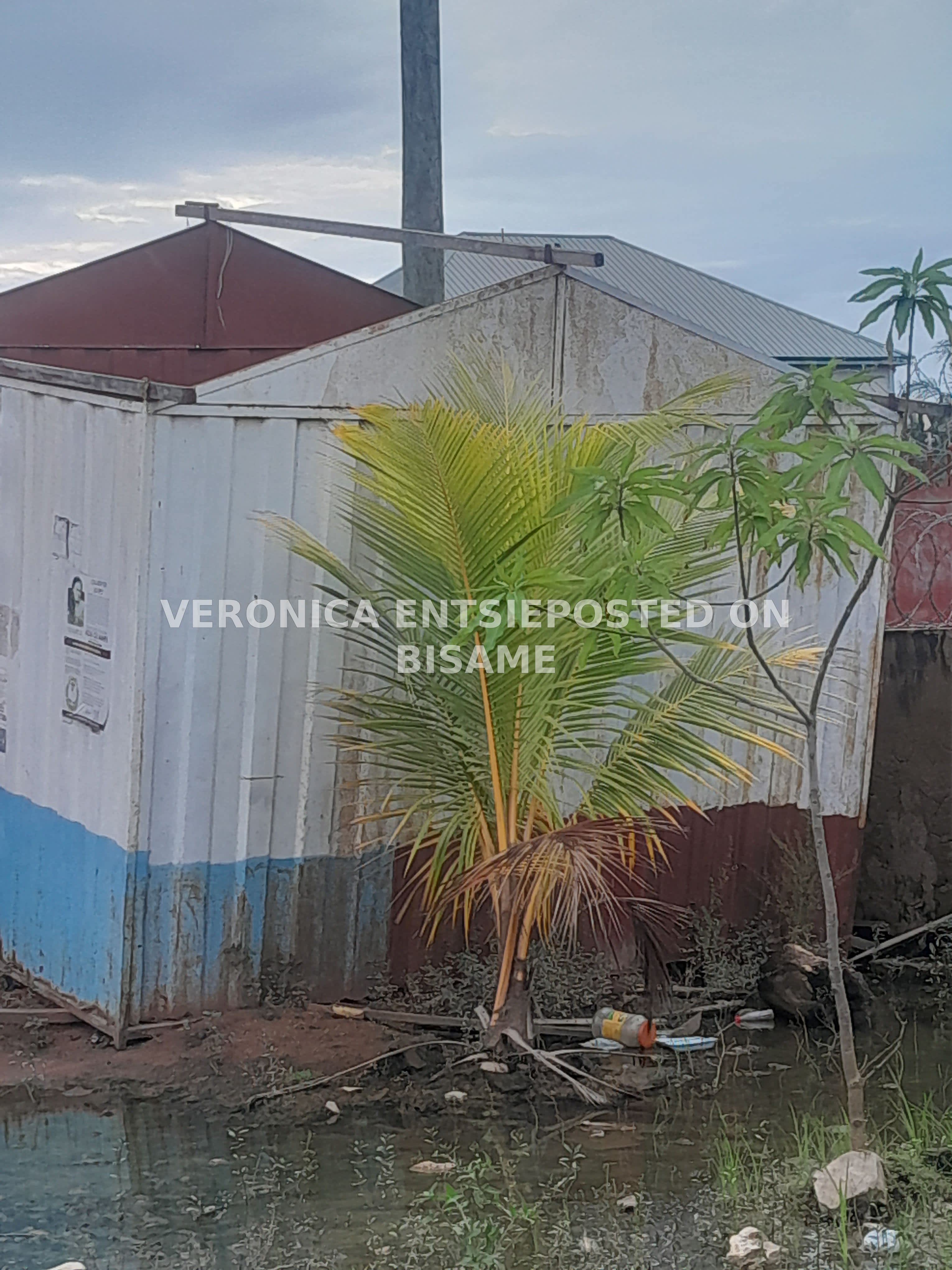 12×10 Container For Sale