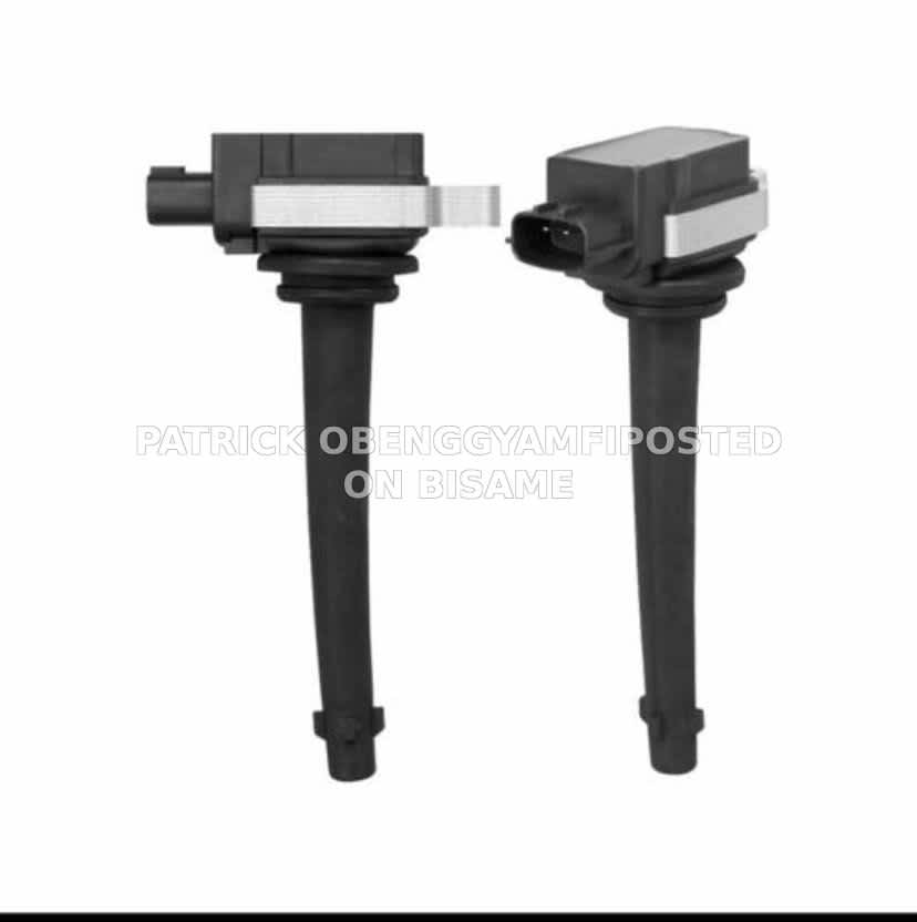 Skypa car coils