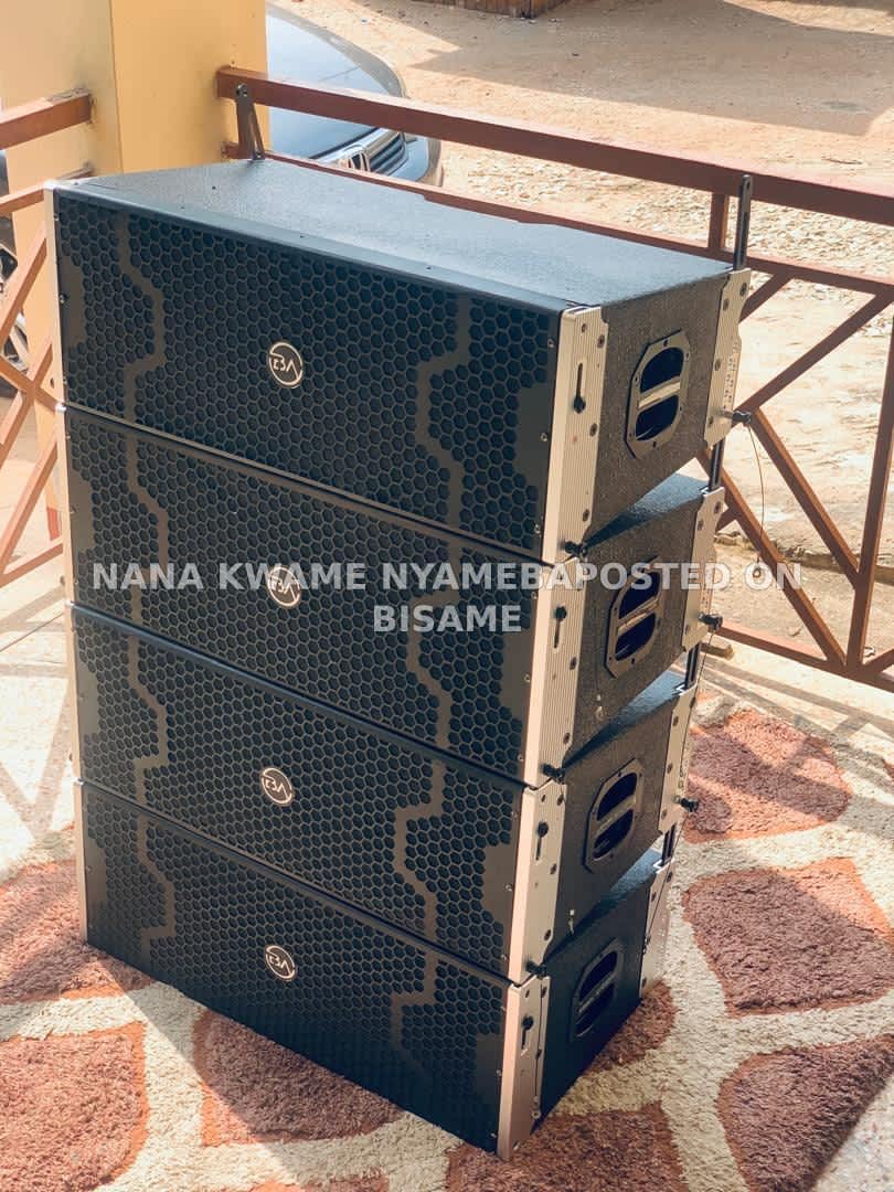 Brain Audio line Array Speaker