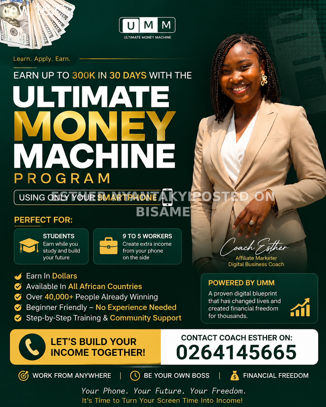 Affiliate marketing (Digitstem)