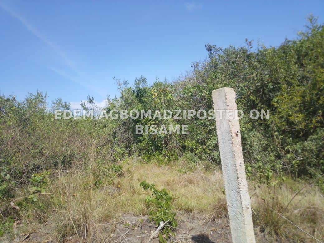 Plot of Land