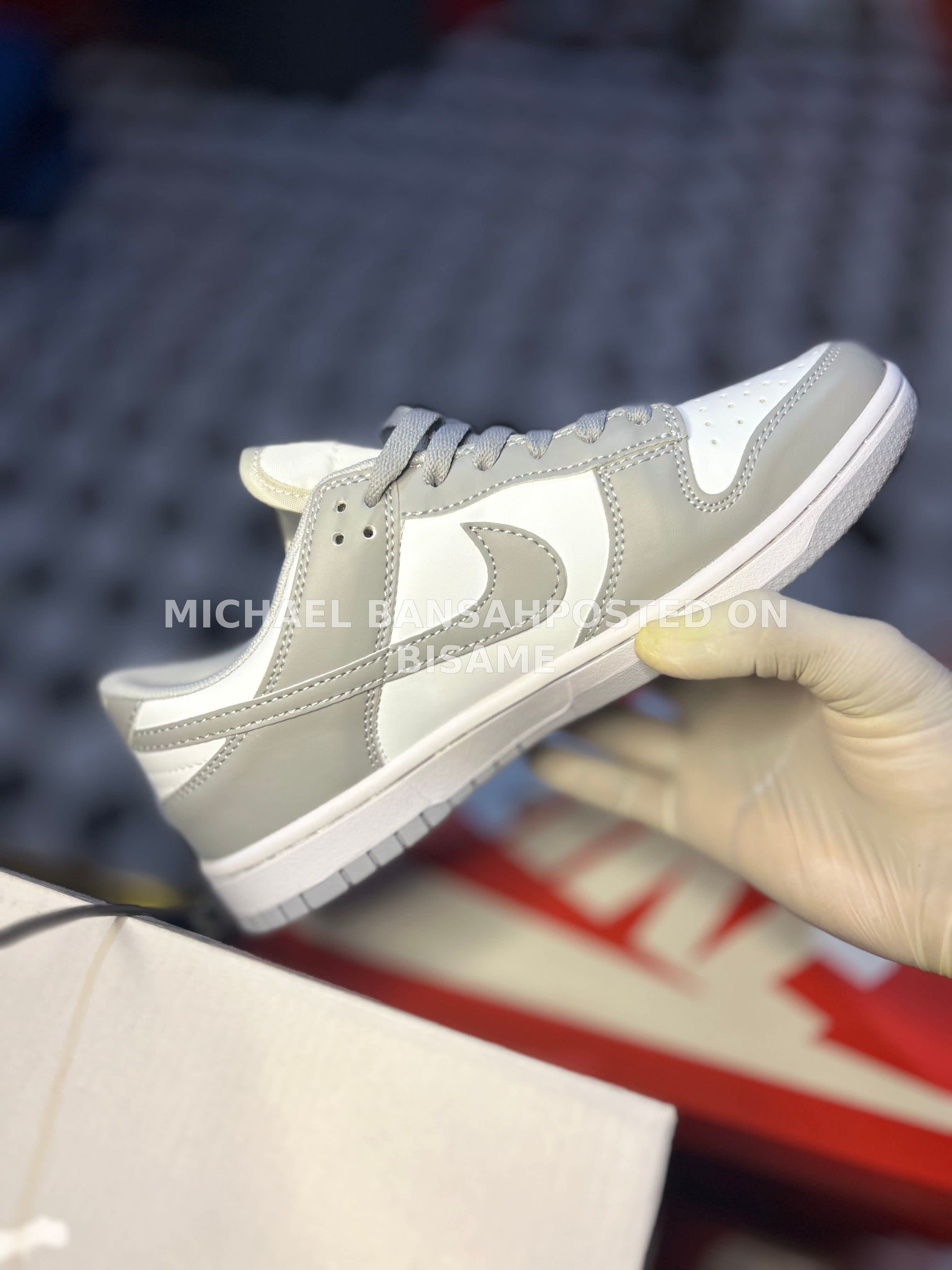 Nike Dunk Low