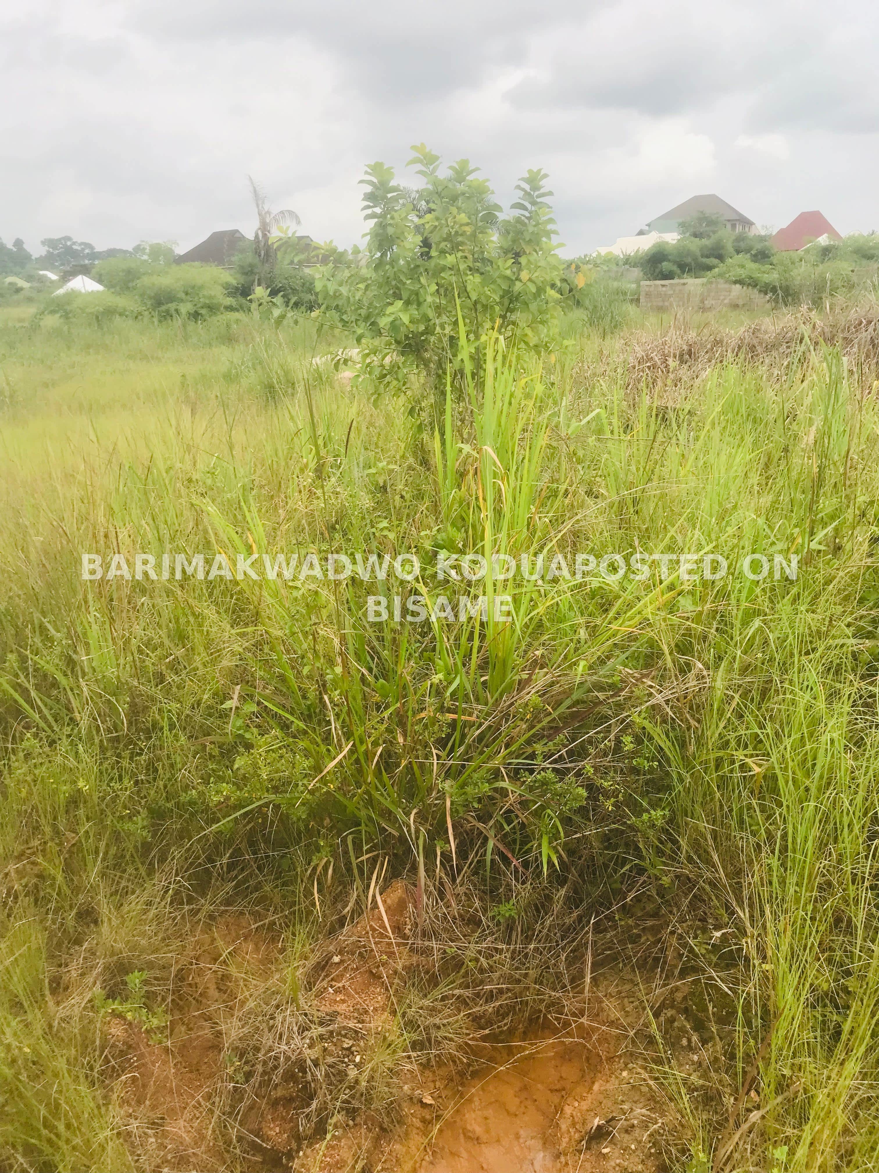 Land for sale