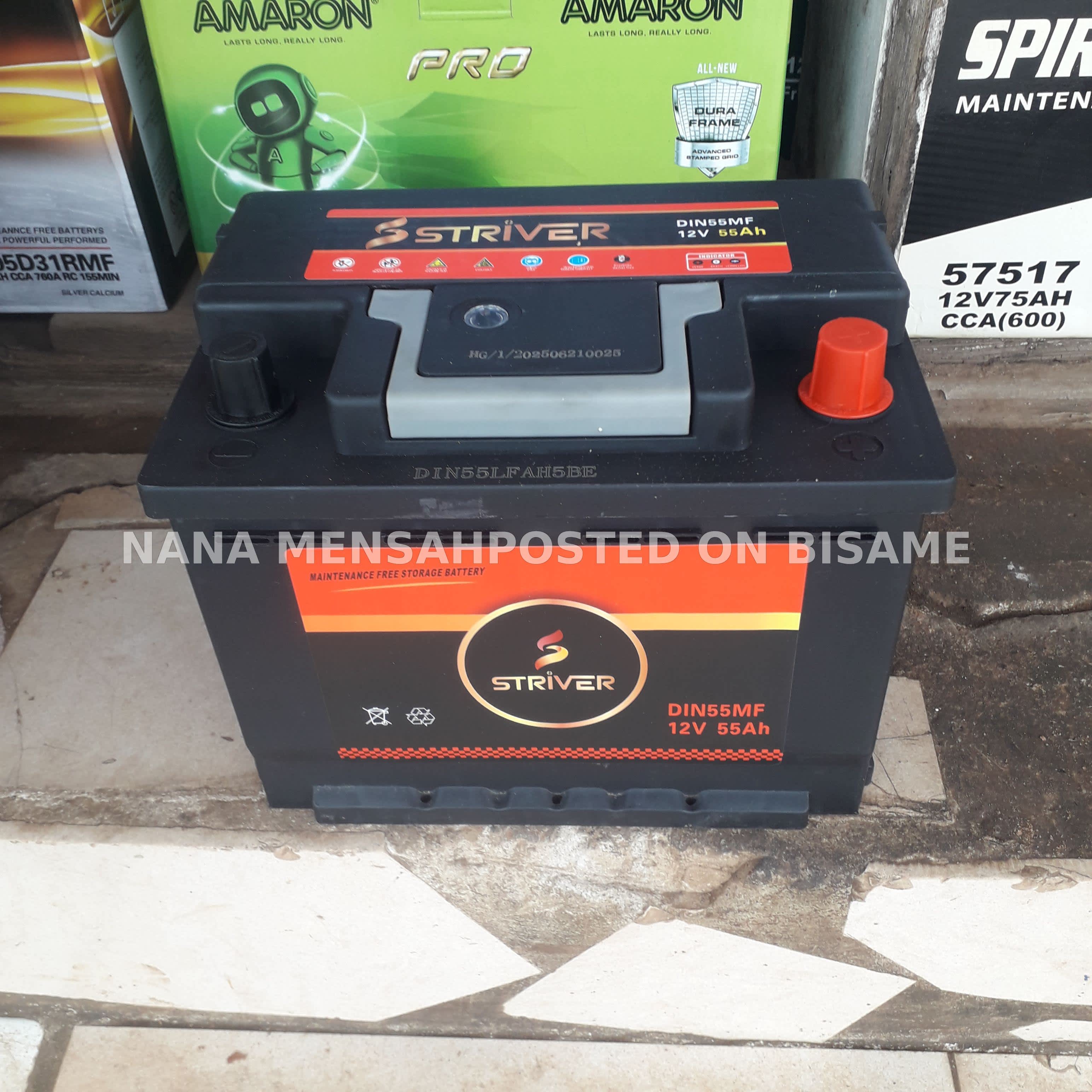 Striver Car Battery