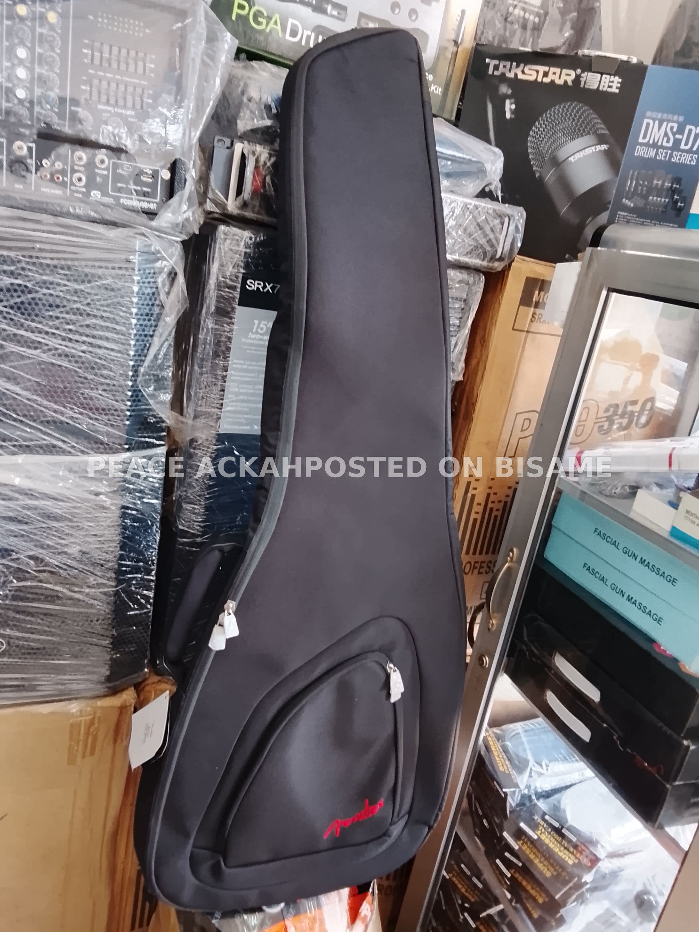 Bass Guitar Bag