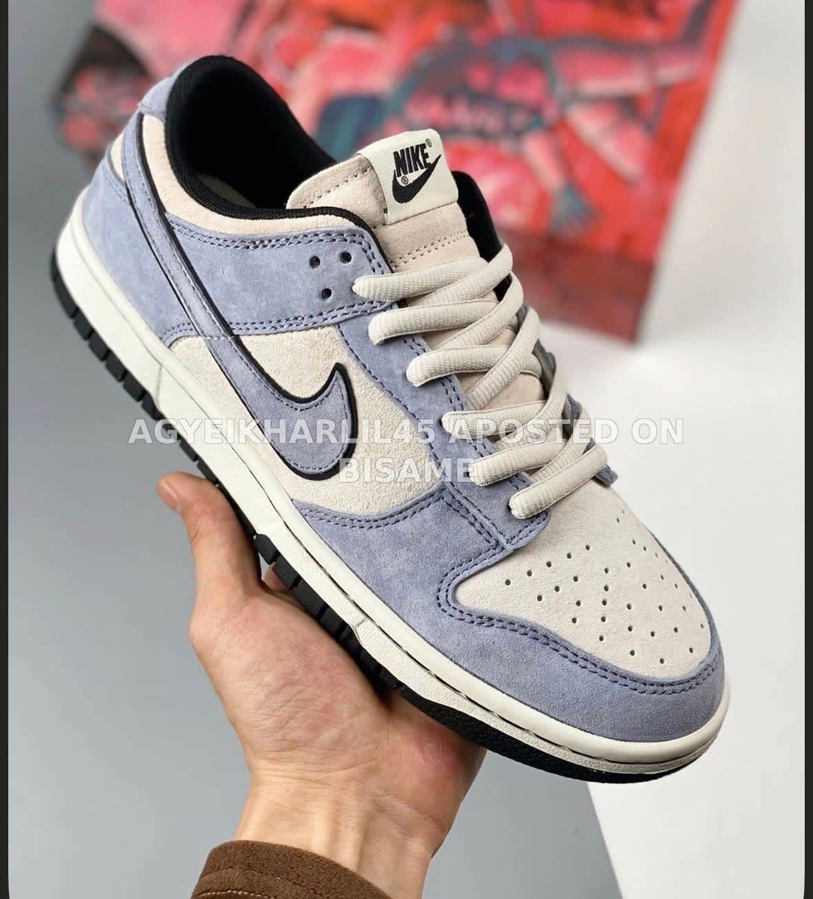 Nike Low Dunk Sneakers 