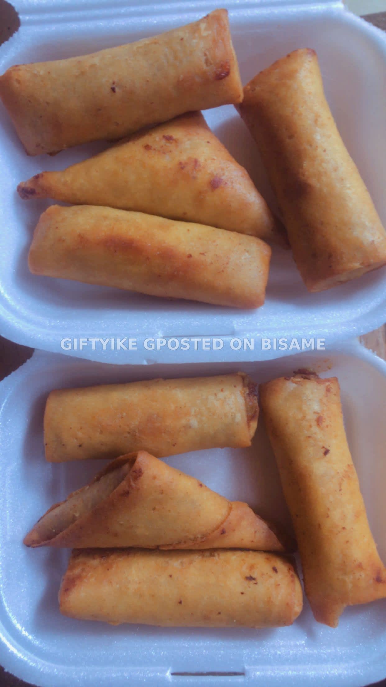 Spring Rolls - Indomie