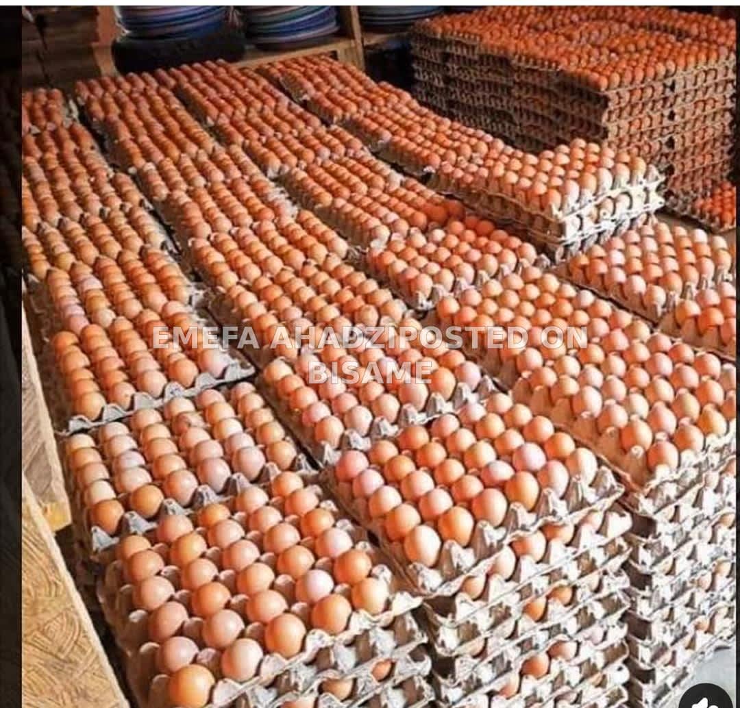 Eggs