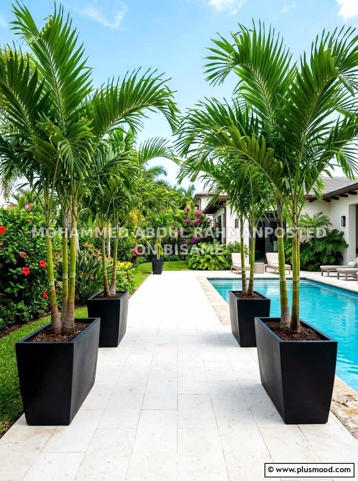 Landscaping Services