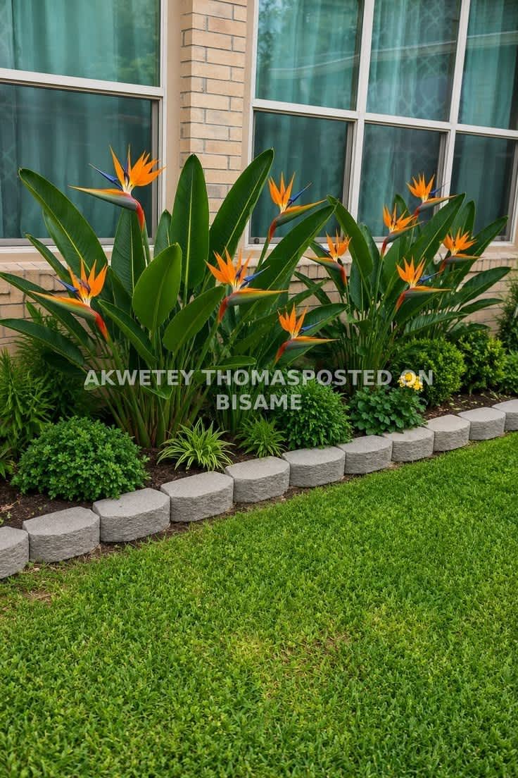 THOMASCO GARDENS