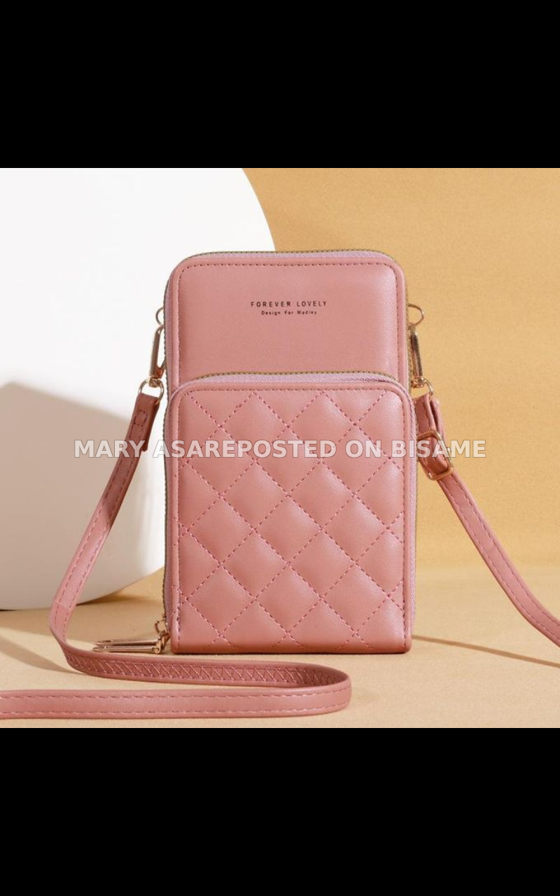 Ladies Handbag