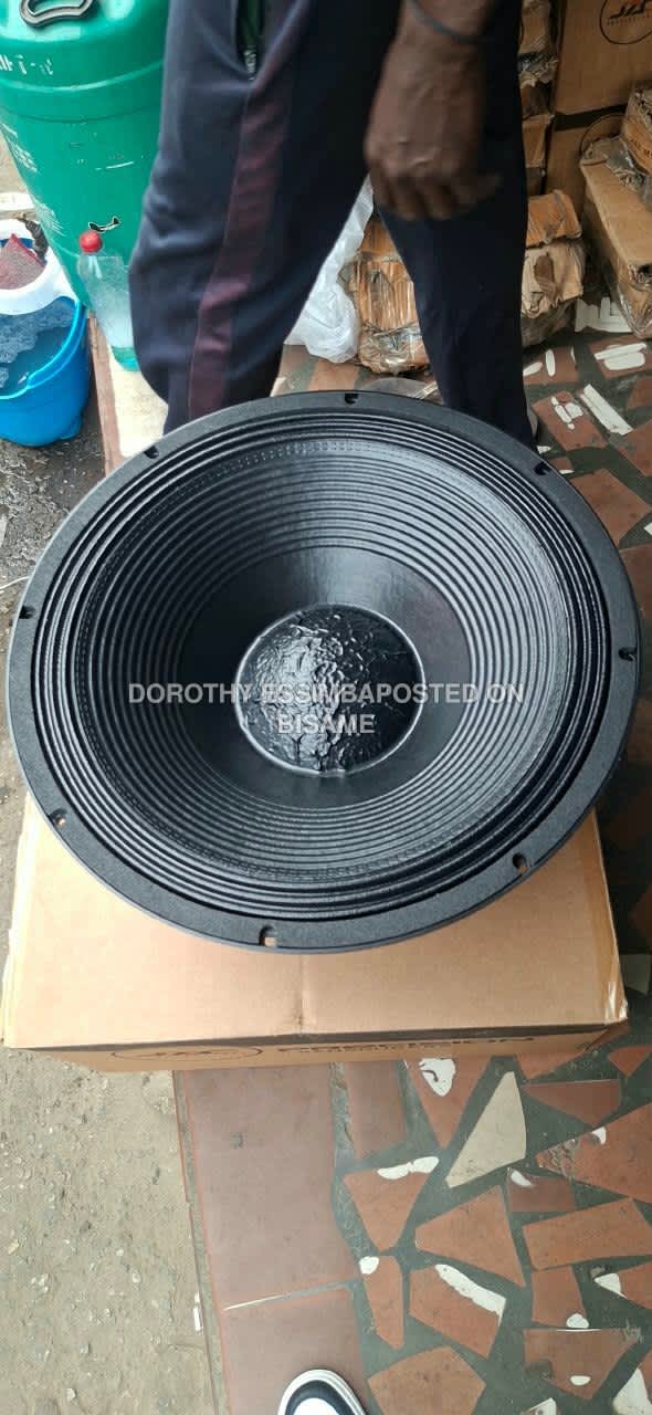 JAC 21LF152 PRO Naked Speaker