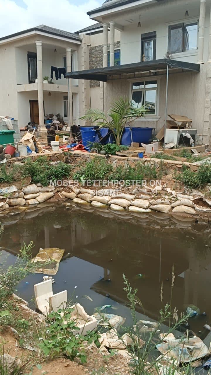 Catfish Farming/Aquaculture