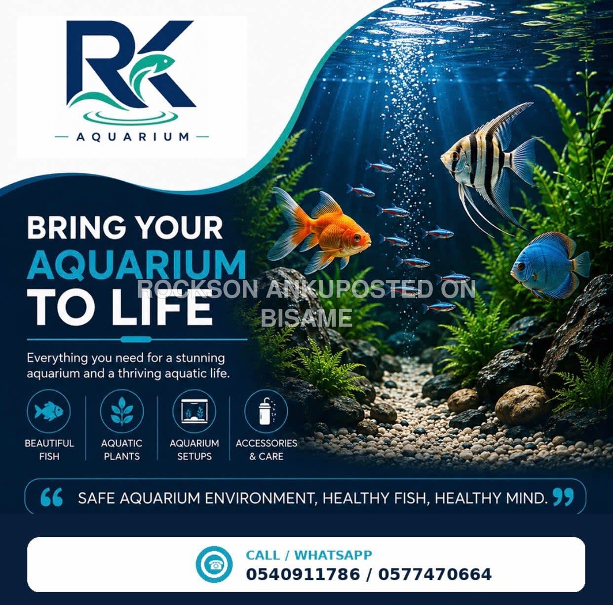 Rk Aquarium